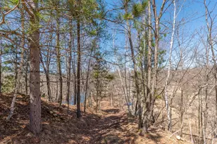 3702 Gull River Trail, Brainerd, MN 56401 - Photo 59