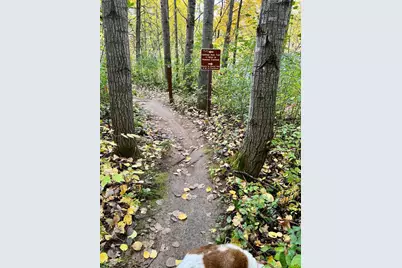 11832 Bren Road, Hopkins, MN 55343 - Photo 49