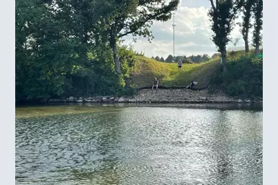 1350 Lisa Lane, Balaton, MN 56115 - Photo 7