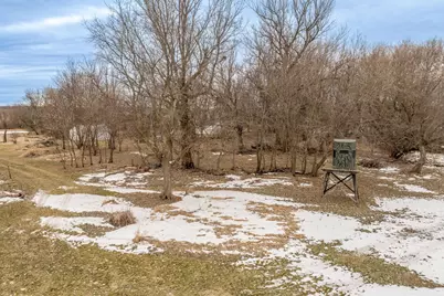 44652 423 Street, Windom, MN 56101 - Photo 9