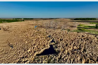 Tbd County Highway 14, Madison, MN 56256 - Photo 19