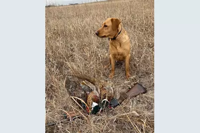 Tbd County Highway 14, Madison, MN 56256 - Photo 5