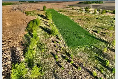 Tbd County Highway 14, Madison, MN 56256 - Photo 3