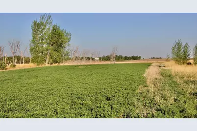 Tbd County Highway 14, Madison, MN 56256 - Photo 15