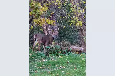 11563 Beaver Drive, Garrison, MN 56401 - Photo 31