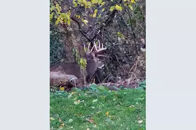 11563 Beaver Drive, Garrison, MN 56401 - Photo 29