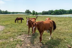 309 Arabian Dr, Jordan, MN 55352 - Photo 59