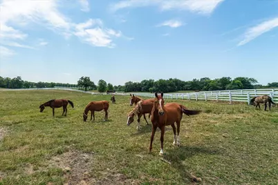 309 Arabian Drive, Jordan, MN 55352 - Photo 63