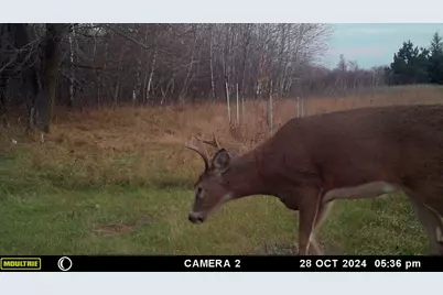 58988 County Highway 50, Deer Creek, MN 56527 - Photo 11