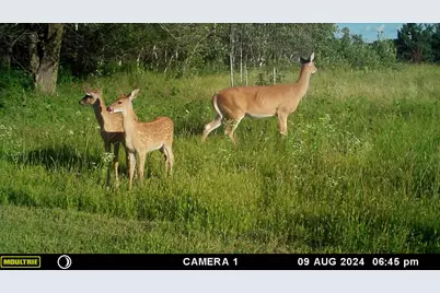 58988 County Highway 50, Deer Creek, MN 56527 - Photo 17