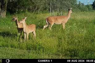 58988 Co Hwy 50, Deer Creek, MN 56527 - Photo 17