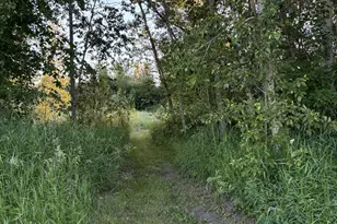 58988 Co Hwy 50, Deer Creek, MN 56527 - Photo 45