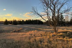 58988 Co Hwy 50, Deer Creek, MN 56527 - Photo 49