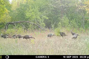 58988 Co Hwy 50, Deer Creek, MN 56527 - Photo 15