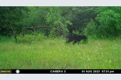 58988 County Highway 50, Deer Creek, MN 56527 - Photo 19