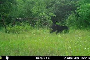 58988 Co Hwy 50, Deer Creek, MN 56527 - Photo 19