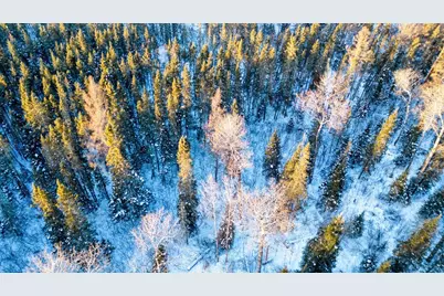 Tbd South Avenue, Aurora, MN 55705 - Photo 13