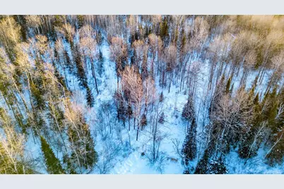 Tbd South Avenue, Aurora, MN 55705 - Photo 7