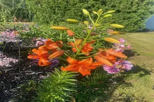 86360 Meyers-Olson Rd, Bayfield, WI 54814 - Photo 55