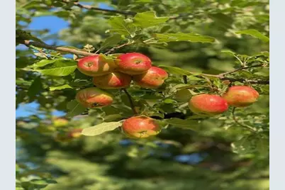 86360 Meyers Olson Road, Bayfield, WI 54814 - Photo 61