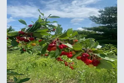 86360 Meyers Olson Road, Bayfield, WI 54814 - Photo 53