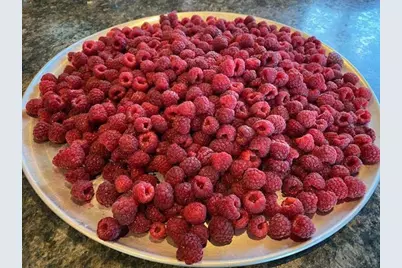 86360 Meyers Olson Road, Bayfield, WI 54814 - Photo 69