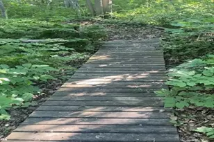 86360 Meyers-Olson Rd, Bayfield, WI 54814 - Photo 57