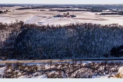 13.50 Acres Hwy 10, Plum City, WI 54761 - Photo 3
