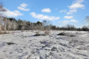 1241 Holly Dr E, Hugo, MN 55038 - Photo 45