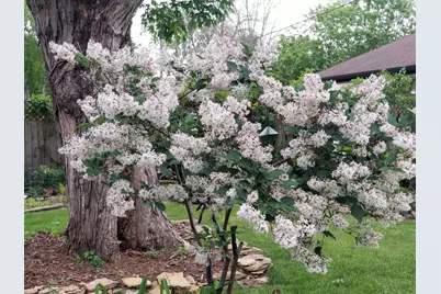 408 17th Street E, Hastings, MN 55033 - Photo 27