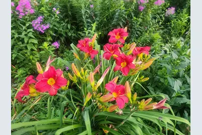 408 17th Street E, Hastings, MN 55033 - Photo 29