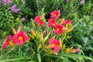 408 17th St E, Hastings, MN 55033 - Photo 29