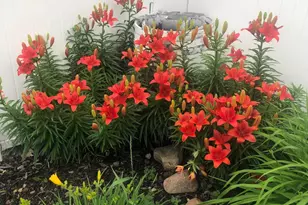 5530 Euclid Way, Farmington, MN 55024 - Photo 45