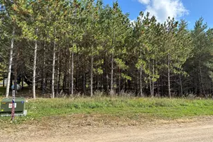 26803 Lidstrom Rd, Detroit Lakes, MN 56501 - Photo 1