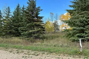 26775 Lidstrom Rd, Detroit Lakes, MN 56501 - Photo 1