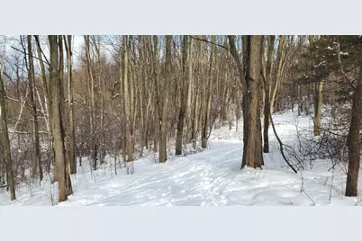 10 Acres Highland View, Houlton, WI 54082 - Photo 9