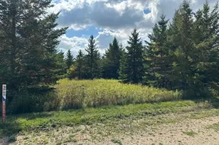 26785 Lidstrom Rd, Detroit Lakes, MN 56501 - Photo 1