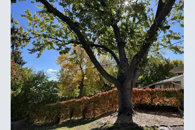 974 Ohio Street, West Saint Paul, MN 55118 - Photo 37