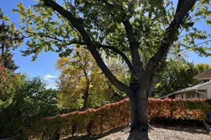 974 Ohio St, West Saint Paul, MN 55118 - Photo 37