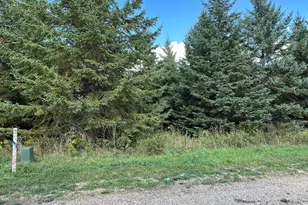 26795 Lidstrom Rd, Detroit Lakes, MN 56501 - Photo 1