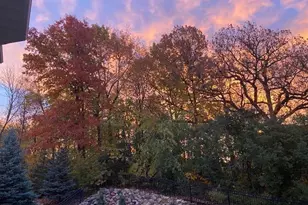 7336 N Fountain Ln N, Maple Grove, MN 55311 - Photo 95