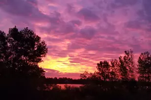 6595 Linwood Dr NE, Albertville, MN 55301 - Photo 27