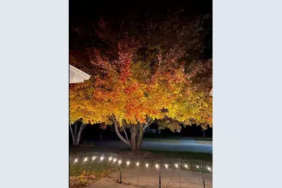 1321 Lake Susan Hills Drive, Chanhassen, MN 55317 - Photo 63