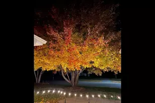 1321 Lake Susan Hills Dr, Chanhassen, MN 55317 - Photo 63