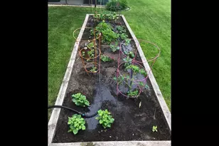 1321 Lake Susan Hills Dr, Chanhassen, MN 55317 - Photo 59