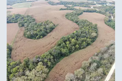 Tbd County Road 3, Zumbro Falls, MN 55991 - Photo 13