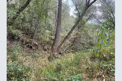 Tbd County Road 3, Zumbro Falls, MN 55991 - Photo 31