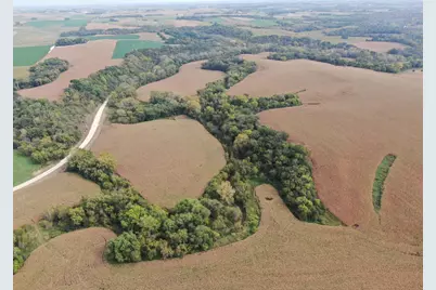 Tbd County Road 3, Zumbro Falls, MN 55991 - Photo 5