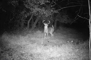 543 60th St NE, Buffalo, MN 55313 - Photo 45