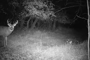 543 60th St NE, Buffalo, MN 55313 - Photo 47